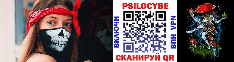 Галлюциногенные грибы Psilocybe Карпинск